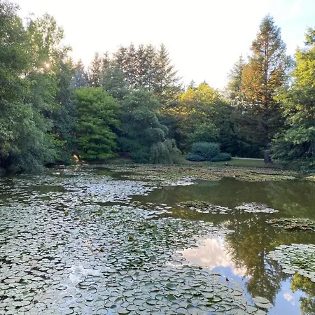 Chateau De Cols Дом отдыха *